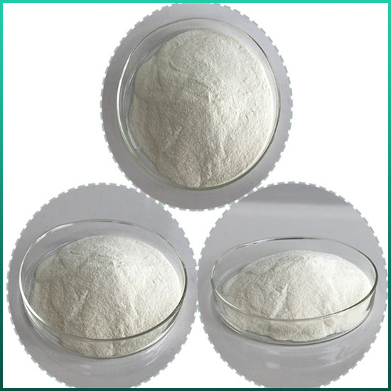 Î²-Galaktosidaz